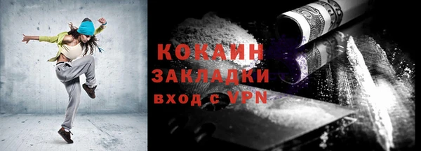 индика Верея