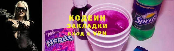 индика Верея