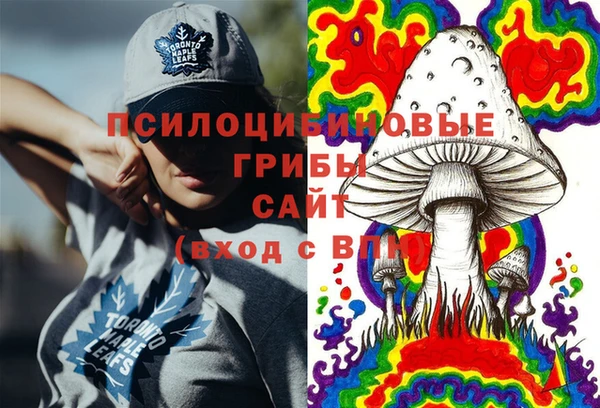 индика Верея