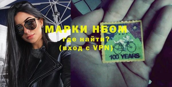 индика Верея