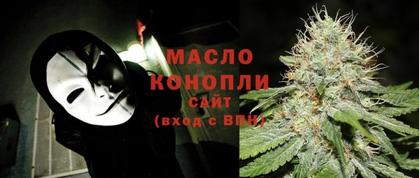 индика Верея