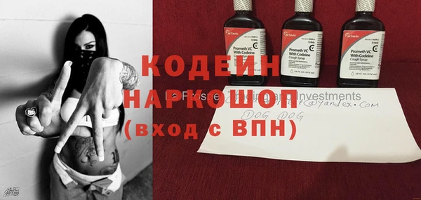 индика Верея